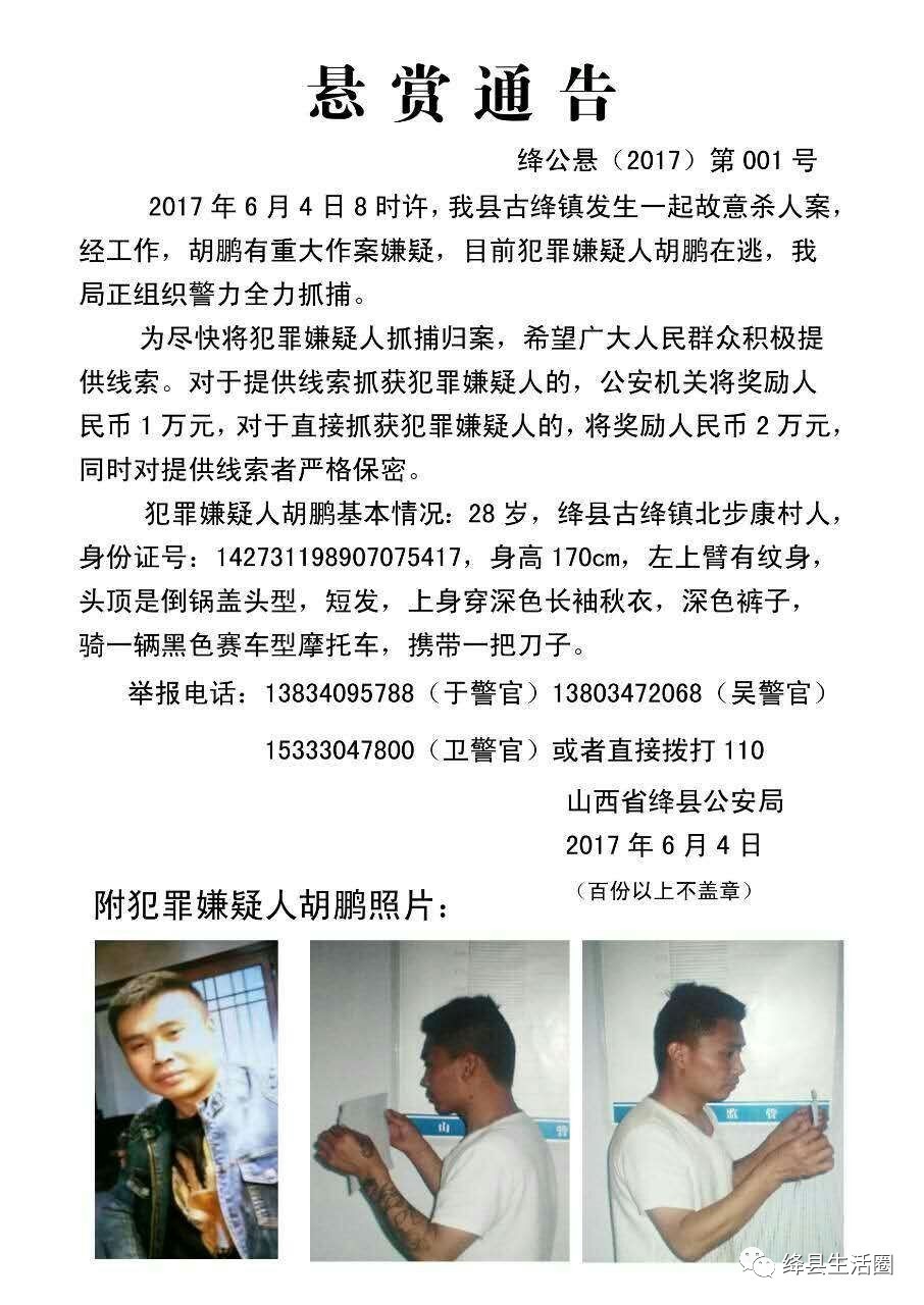 银凡桃 第2页