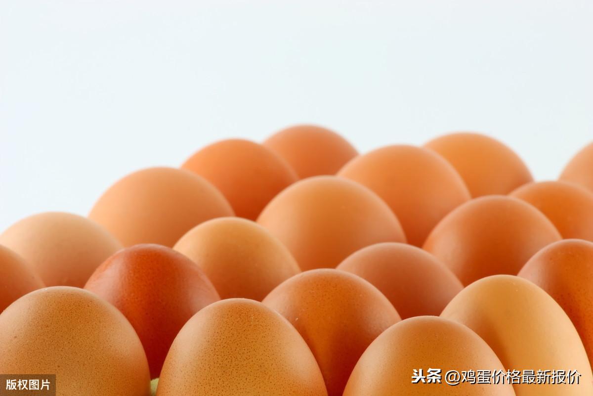 邓康适 第2页