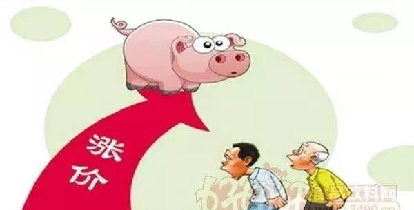 课程改革 第50页