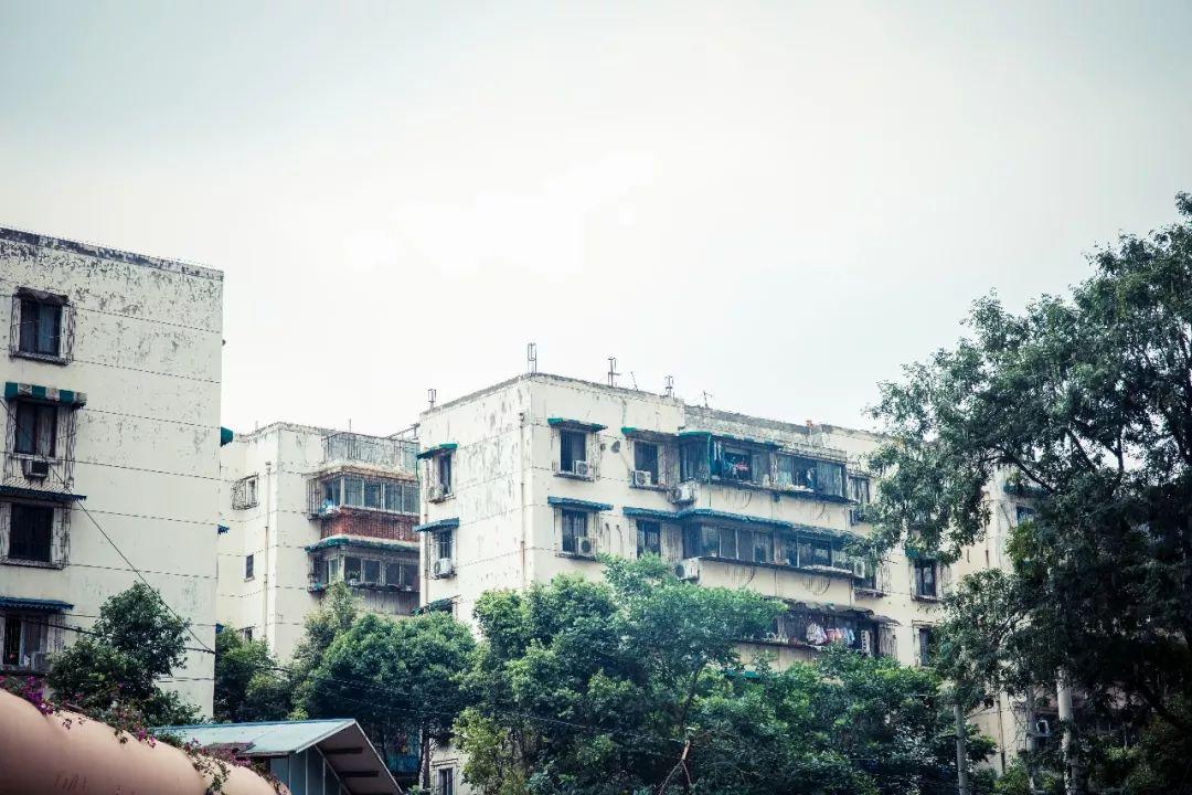 文桂